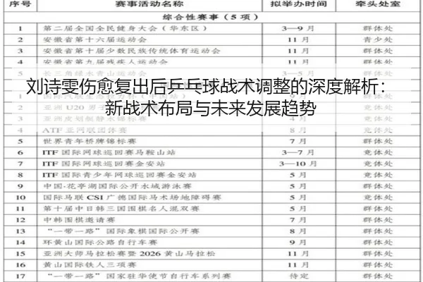 刘诗雯伤愈复出后乒乓球战术调整的深度解析：新战术布局与未来发展趋势