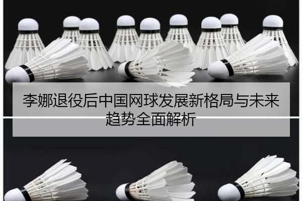 李娜退役后中国网球发展新格局与未来趋势全面解析