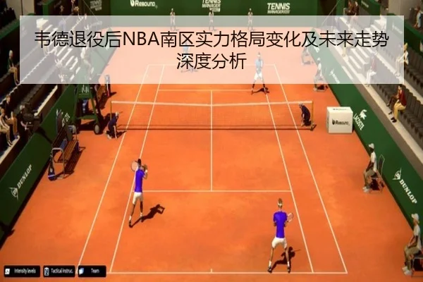 韦德退役后NBA南区实力格局变化及未来走势深度分析