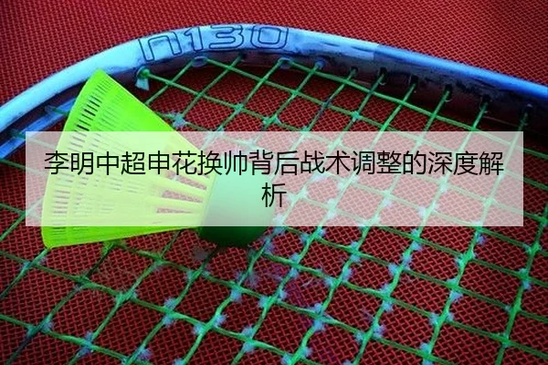 李明中超申花换帅背后战术调整的深度解析